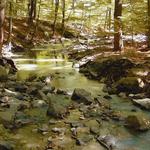 Sourland Mountain Preserve