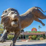 San Diego Zoo