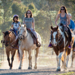 Wine Country Trails by Horseback