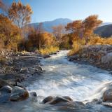 Mission Creek Preserve