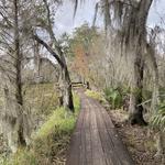Barataria Preserve