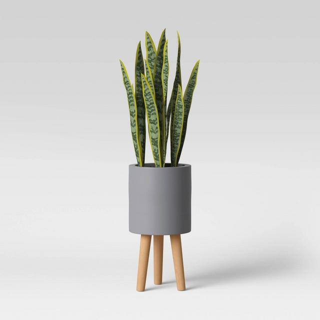 Faux Snake Floor Plant in Pot with Legs Gray/Green - Project 62™