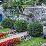 Cranbrook House and Gardens