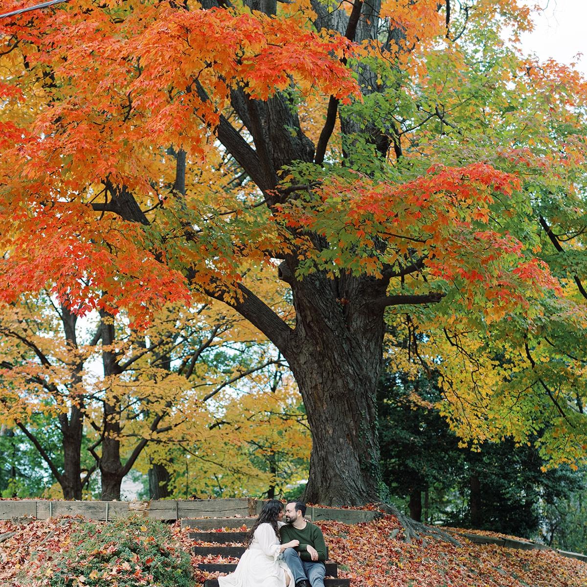 Stumbled upon this magical tree on Yuma Street in the Cleveland Park neighborhood of DC.