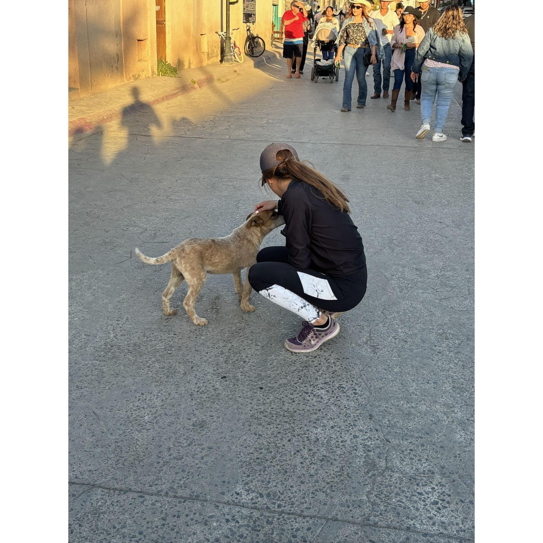 Paola petting stray dogs in Mexico. She wants to take all of them home with us.