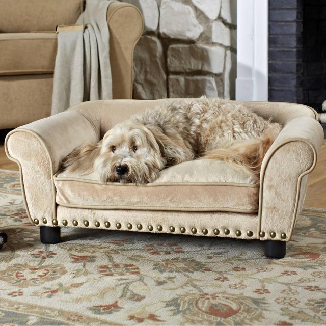 Enchanted Home Dreamcatcher Pet Bed - Gold