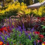 Denver Botanic Gardens