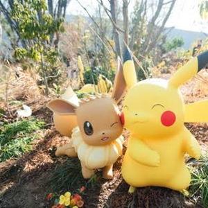 PokéPark Kanto
