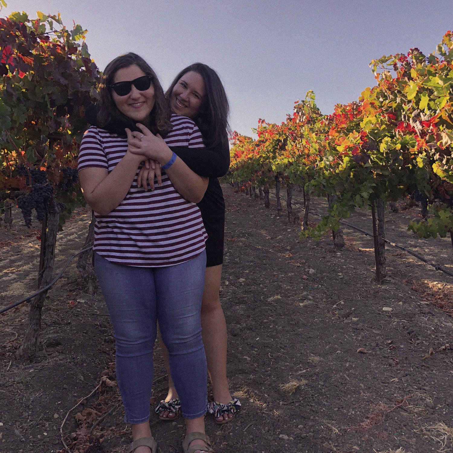 We love a vineyard pic! - Paso 2018