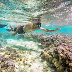 Beach & Experience | Hanauma Bay (Fun for all)