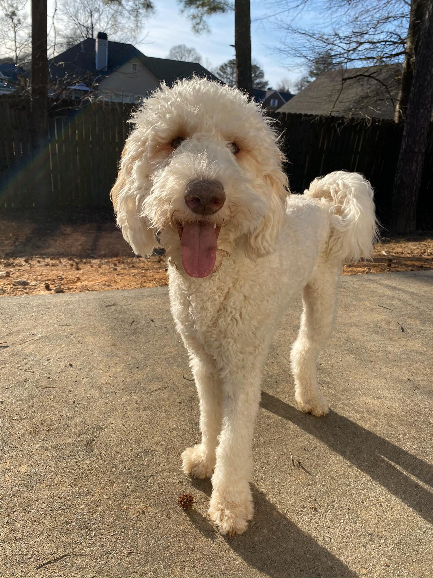 Finnley Cooper