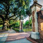 The Horseshoe