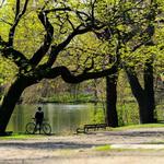 Prospect Park