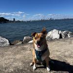 Oak Leaf Trail