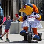 Toledo Mud Hens