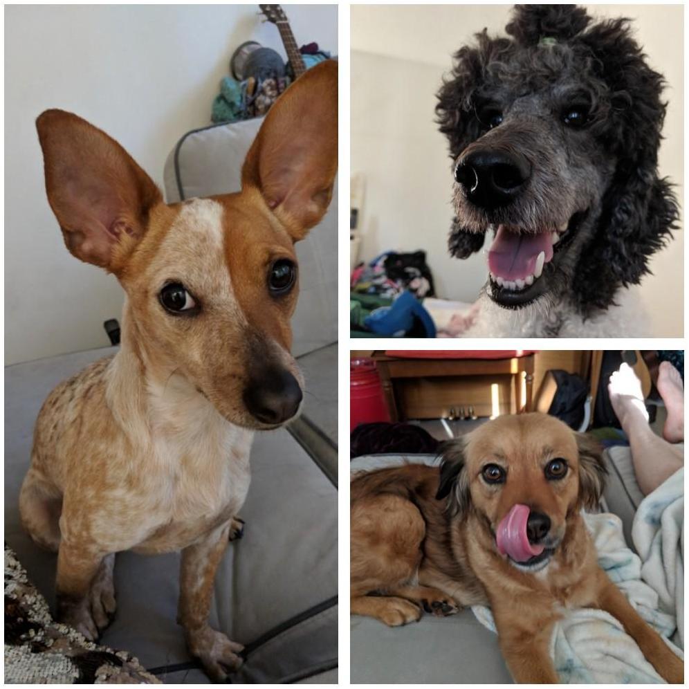Can't forget the girls!