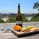 Scribe Winery
