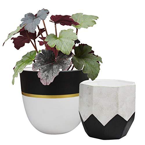 Ceramic Plant Flower Pots Indoor - 6.3 Inch Pack 2 Modern White Geometric Octagon & Round Orchid Cactus Herb Planter Pots for Home Decor, Matte Finish
