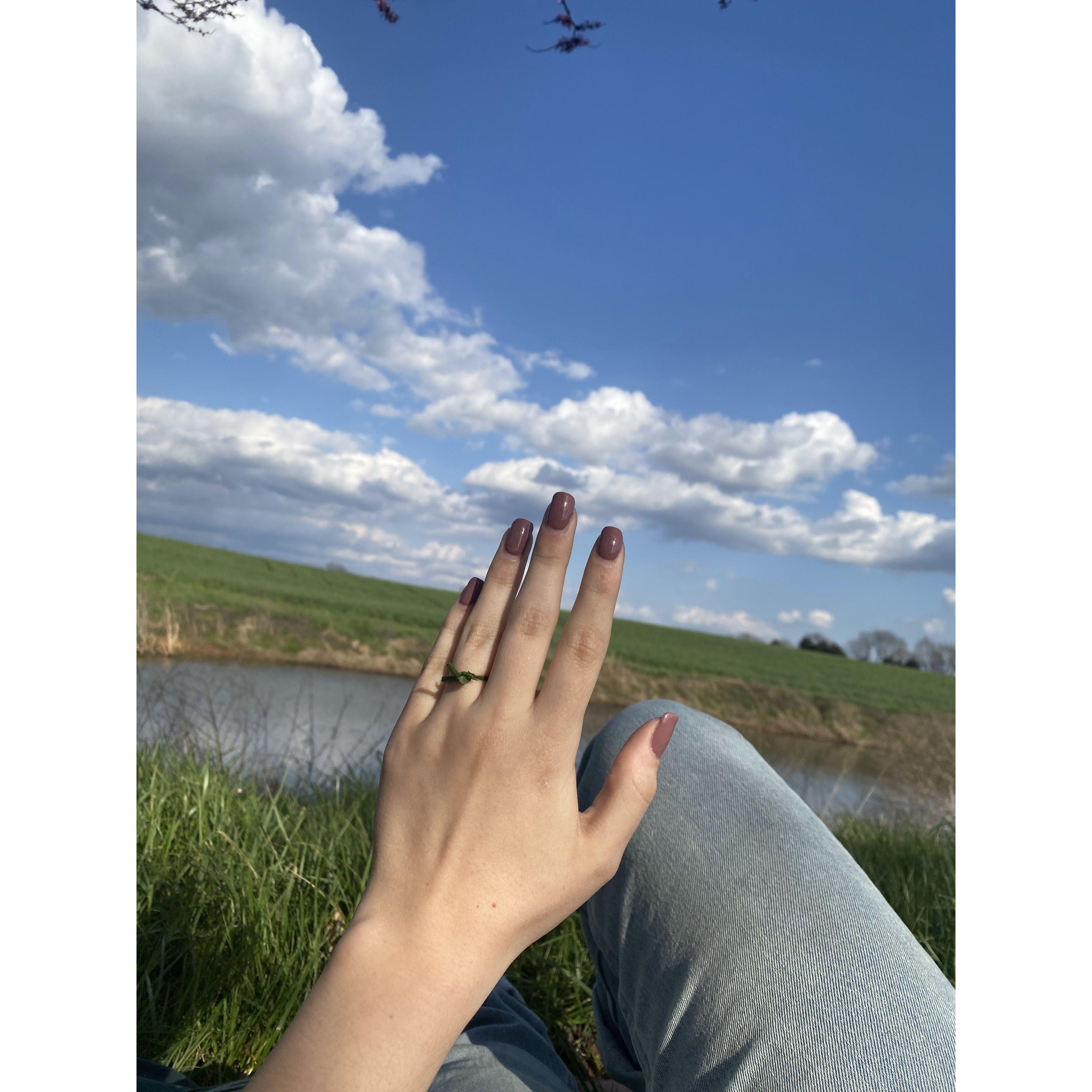 A fake grass ring back when