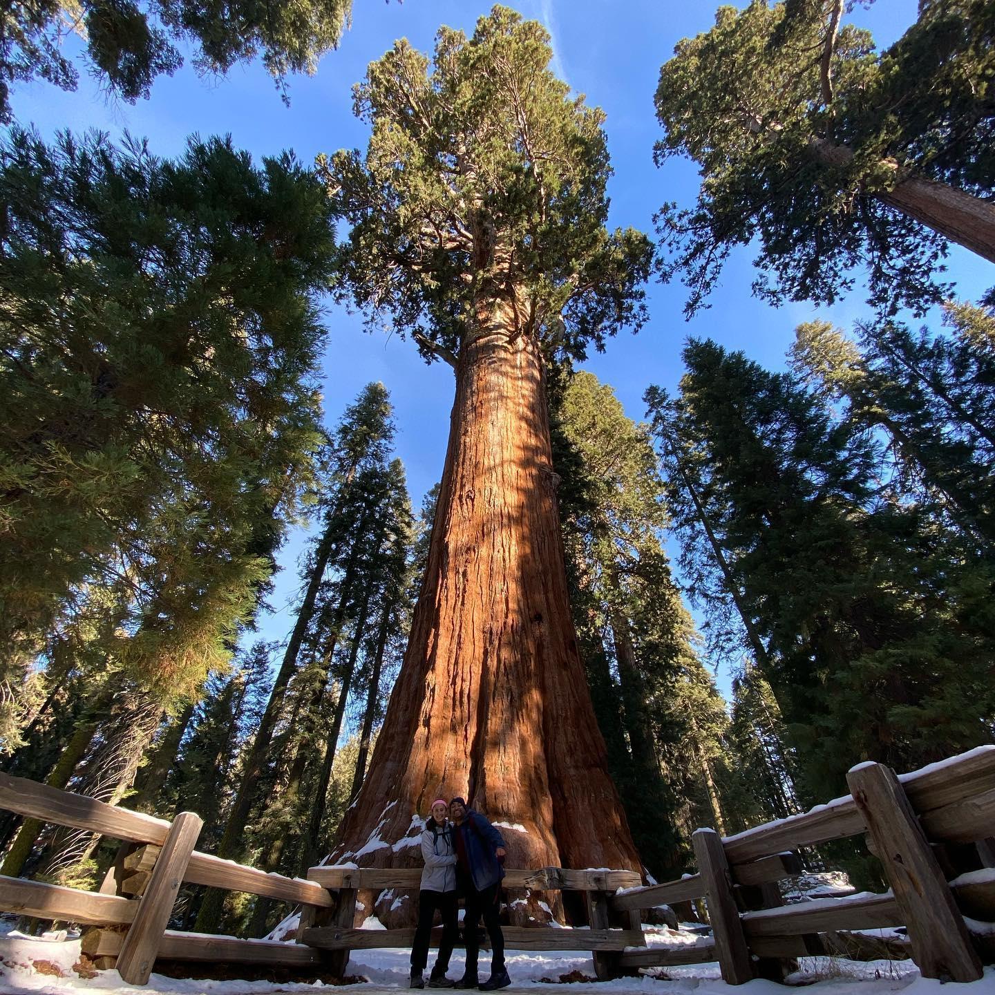 At Sequioa National Park, Ca