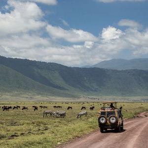 Ngorongoro Crater Vist - Honeymoon Fund