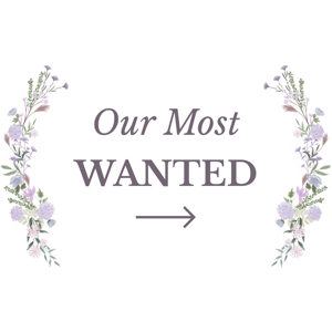 Our Most Wanted