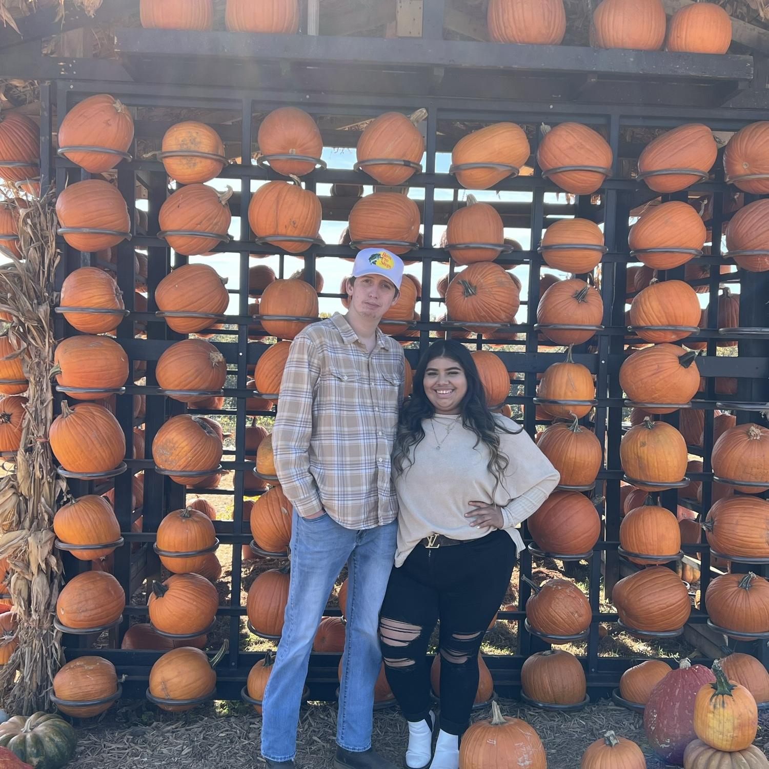 Our first pumpkin patch in 2022 🧡