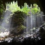 Parque Nacional de las Cavernas del Río Camuy (Rio Camuy Cave Park)