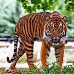 The Indianapolis Zoo
