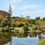 Shinjuku Gyoen National Garden - Tokyo