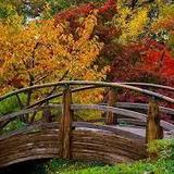 Fort Worth Botanic Garden