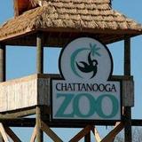 Chattanooga Zoo