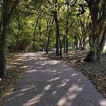 AllTrails