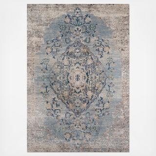 Amelia Distressed Area Rug