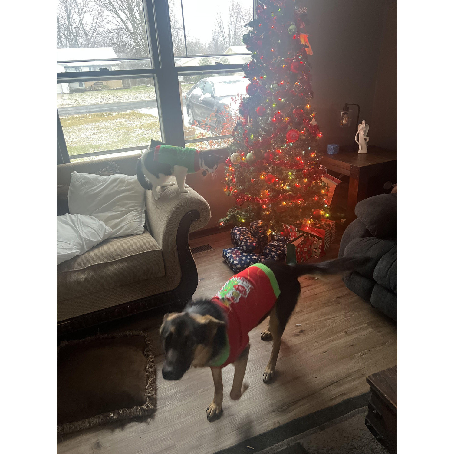 Family Christmas 2023=Chaos