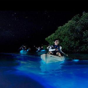 $180 Bioluminescent Bay Kayak, Swim, Boat Tour for Two