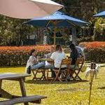 Coffee, wine & relax at Casa Verde Miel