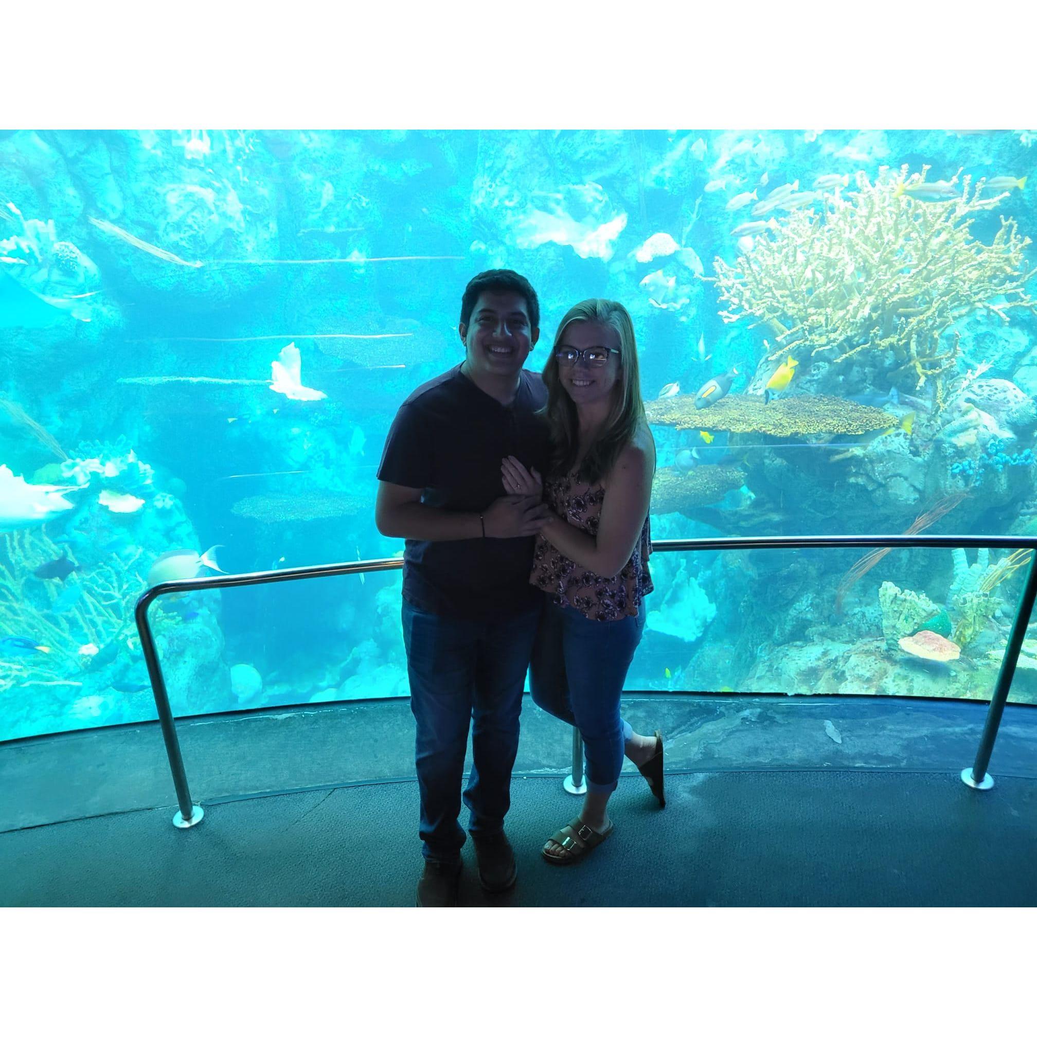 Kylie and Jose at the California Aquarium!