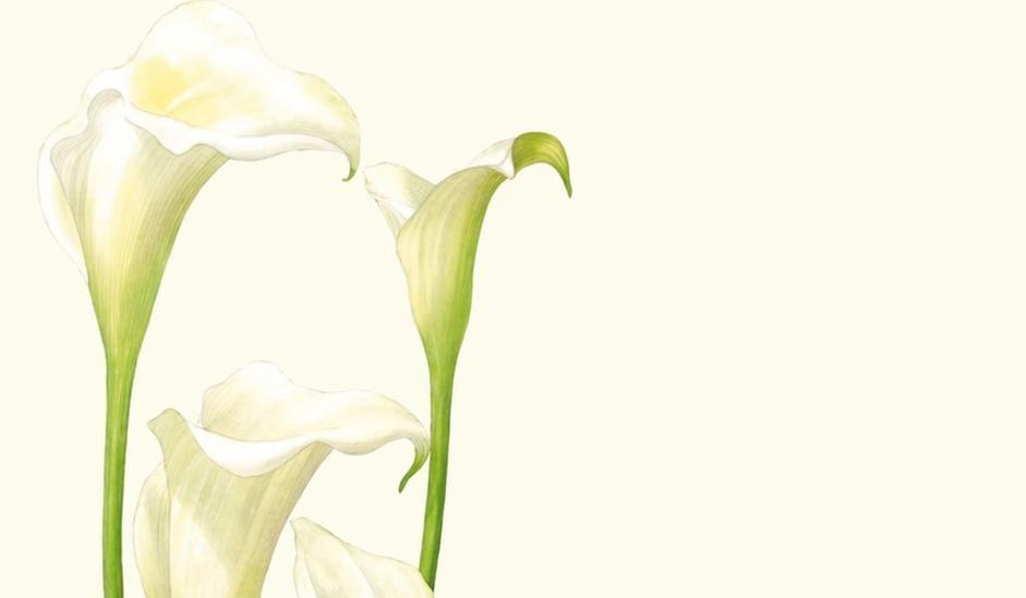 Footer image