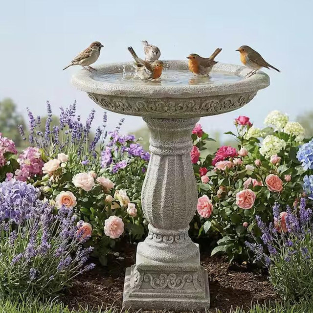 Beautiful bird bath from Home Depot🐦‍⬛🪺