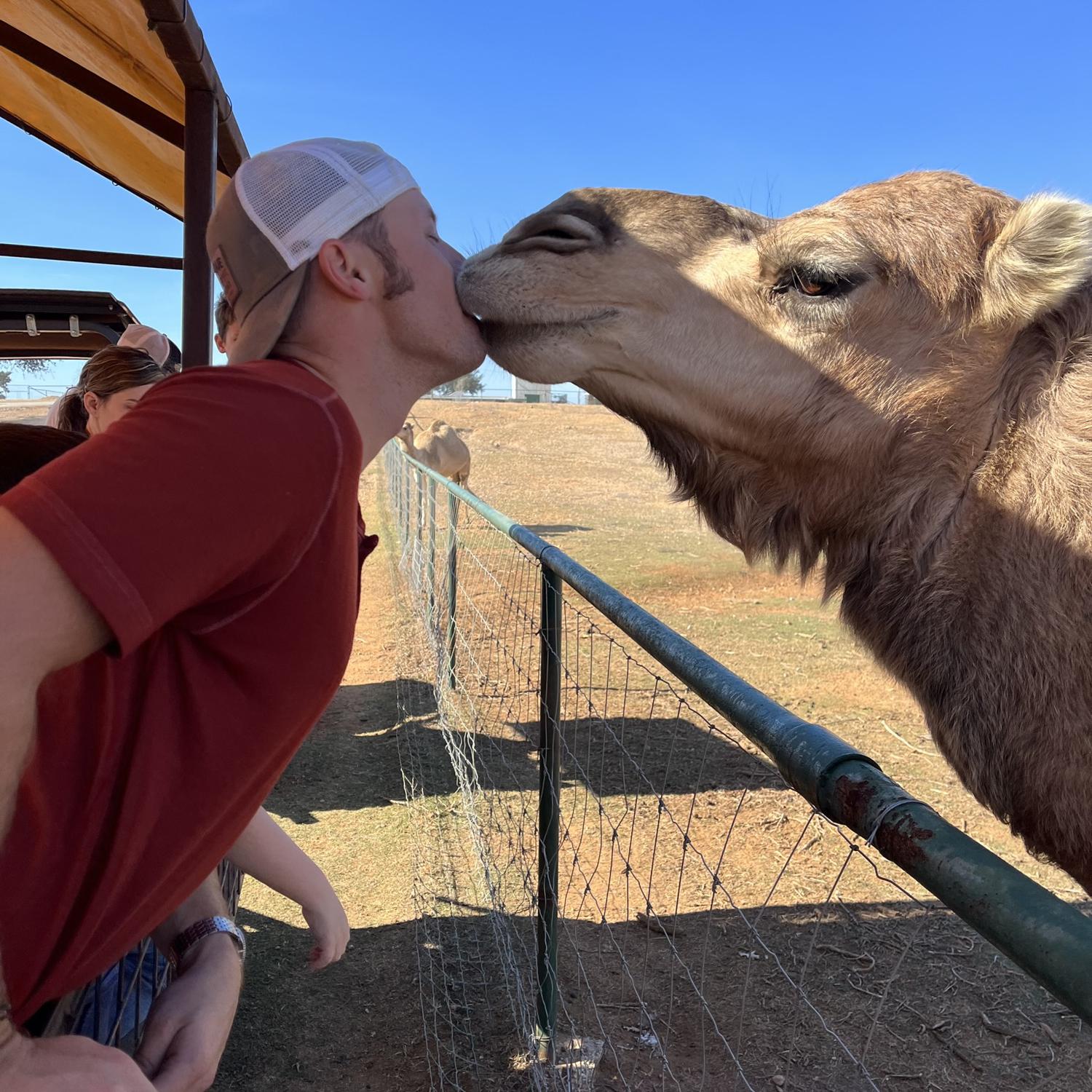 Sharing the love in Johnson City