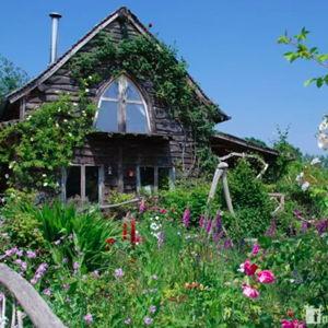 Dream House