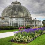 Anna Scripps Whitcomb Conservatory