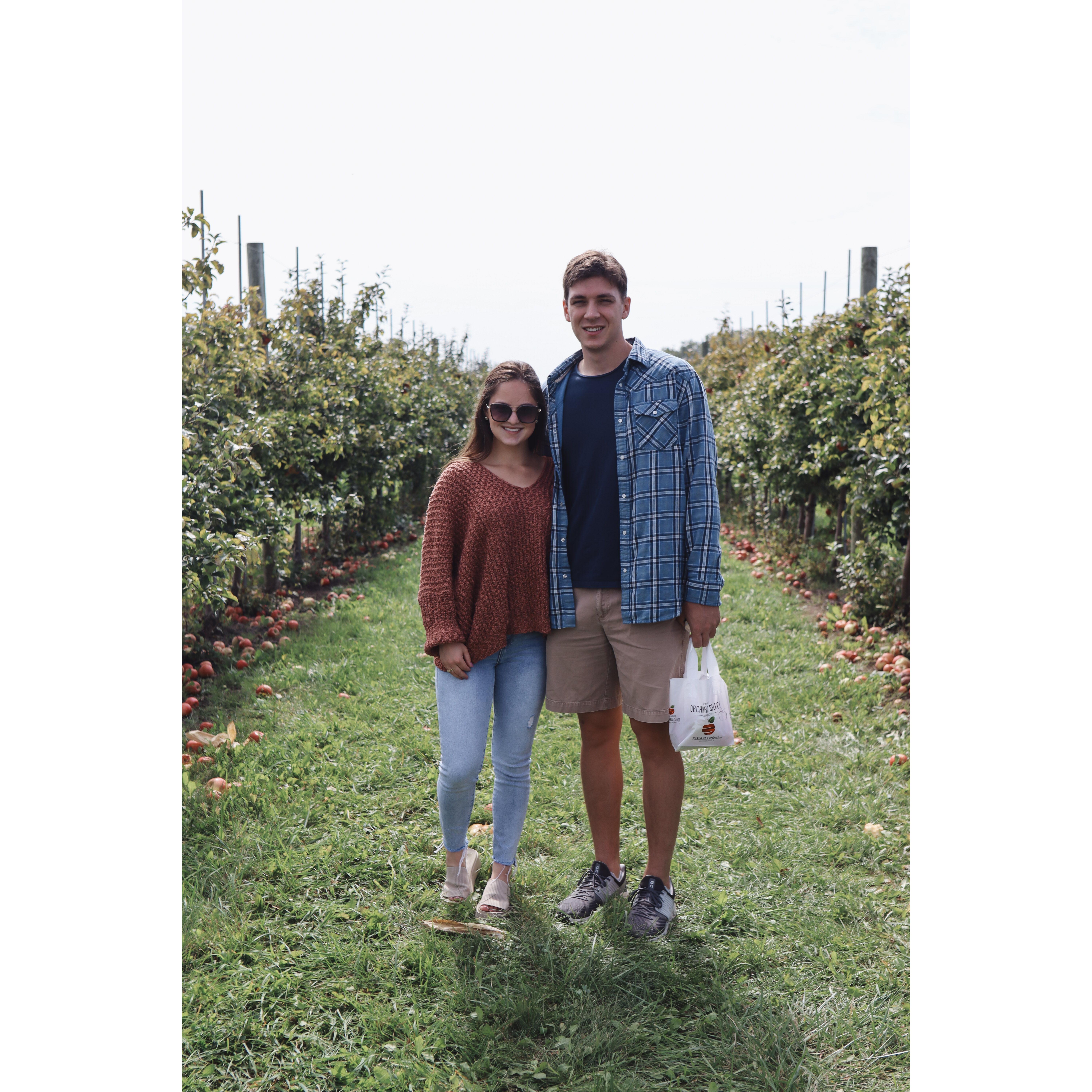 Apple Picking