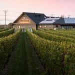 Newport Vineyards