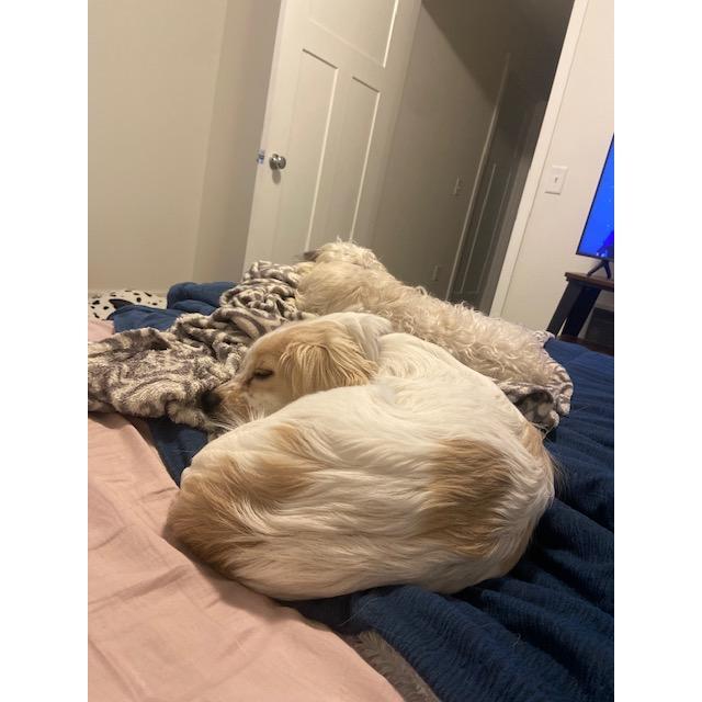 Our sleepy babies