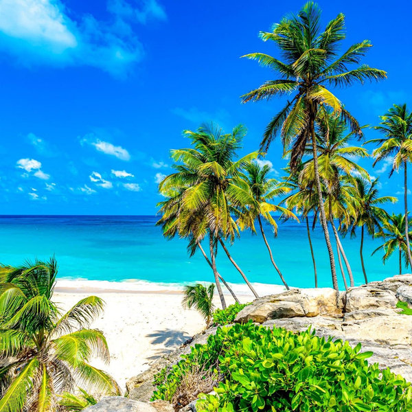 Our Honeymoon Fund