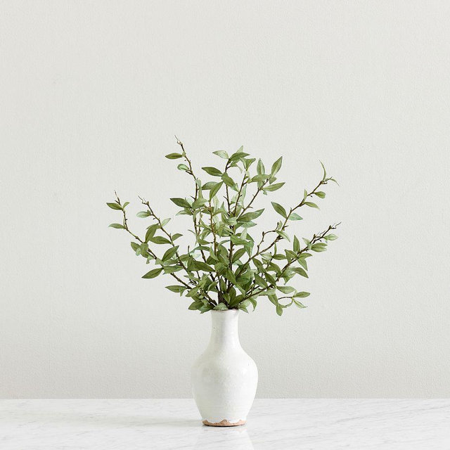 Mini – Green Leaf Bundle – 36"