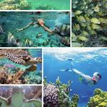 Riviera Maya Snorkeling