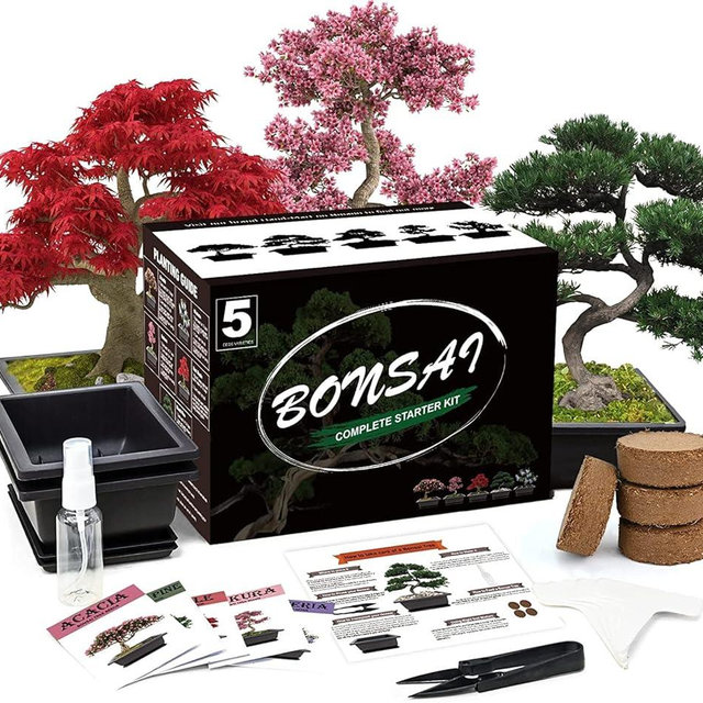 Meekear 5 Bonsai Tree Kit Complete Plant Growing Tools, Grow in Pot Indoor Bonsai Tree Starter Kit, Great Home Gardening Potted Plants DIY Gift for Adults
